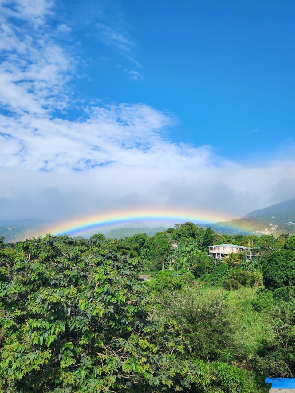 Matthew's Miracle View Bed and Breakfast in Dominica