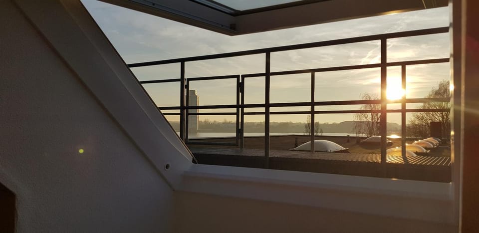 Lake view