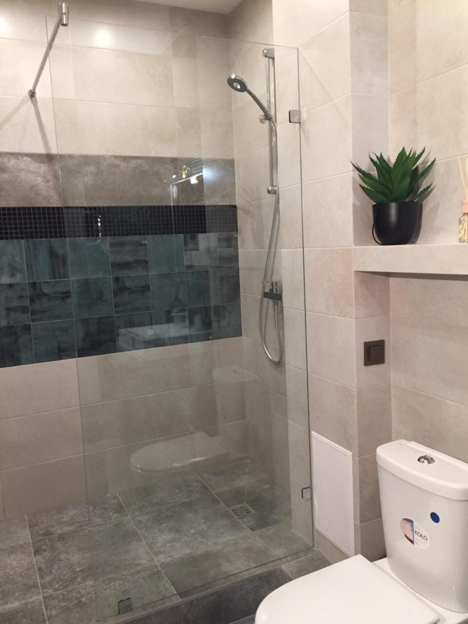 Shower, Toilet