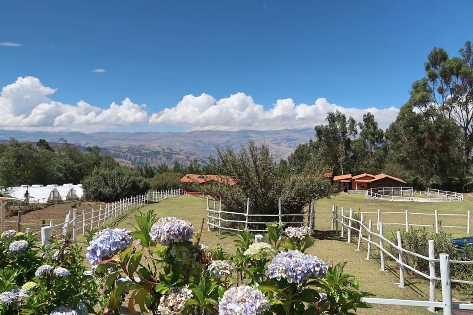 Property building, On site, Garden view