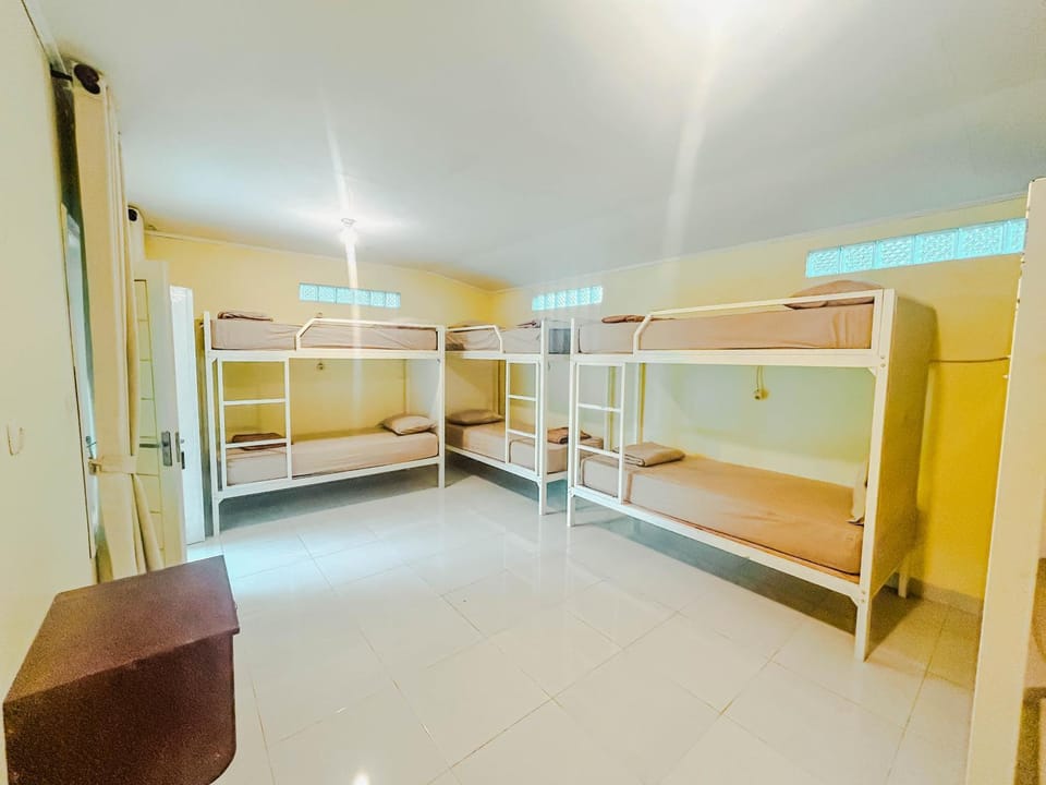 Bed, Photo of the whole room, Bedroom, bunk bed, wardrobe