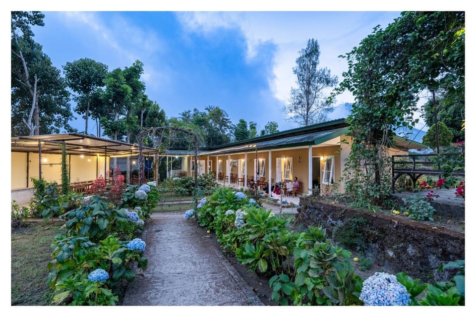 Property building, Garden, Garden view
