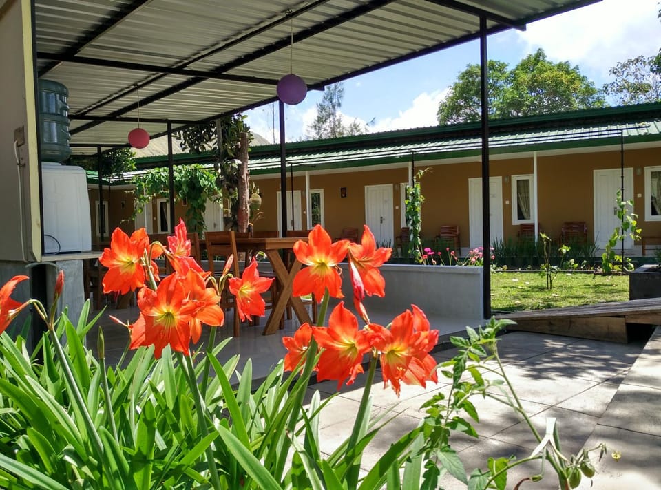 Property building, Communal lounge/ TV room, Garden, Balcony/Terrace, Garden view