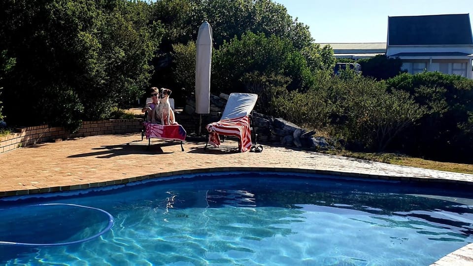 Natural landscape, Garden, Swimming pool, sunbed
