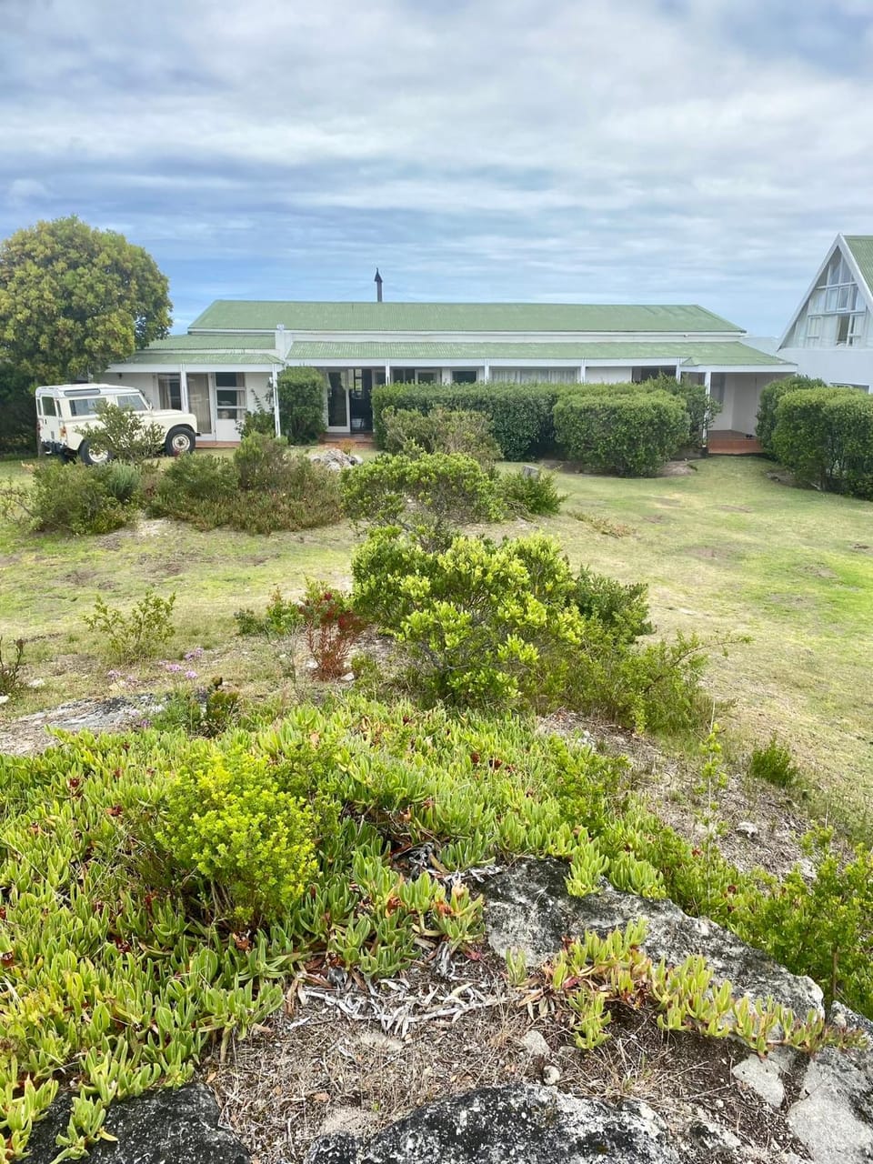 Property building, Natural landscape, Garden