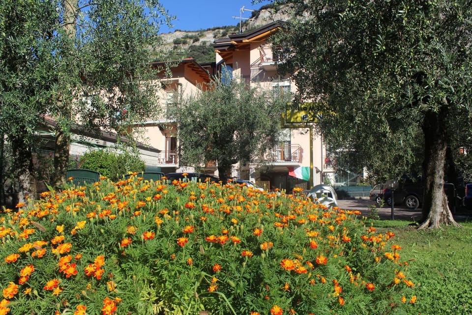 Property building, Spring, Day, Natural landscape, Garden, Garden view, Parking