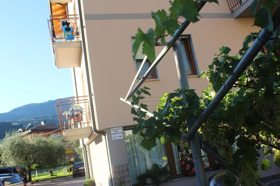 Property building, Day