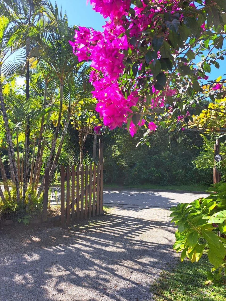 Pousada Praia da Baleia Inn in São Sebastião