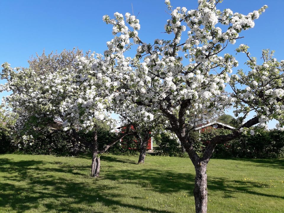 Mellomgården Farm Stay in Västra Götaland County