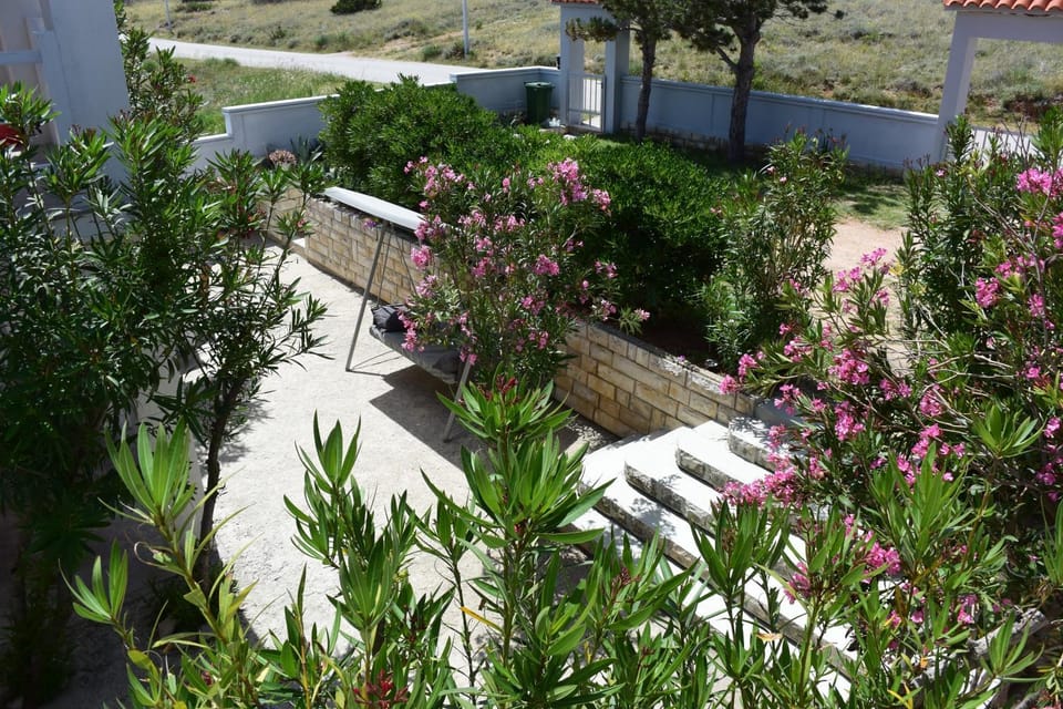 Garden, Garden view