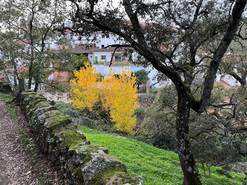 El Zarzo de Nemesio, alberca, barbacoa 2 Hab 4 Pers más 2 Max House in Sierra de Huelva