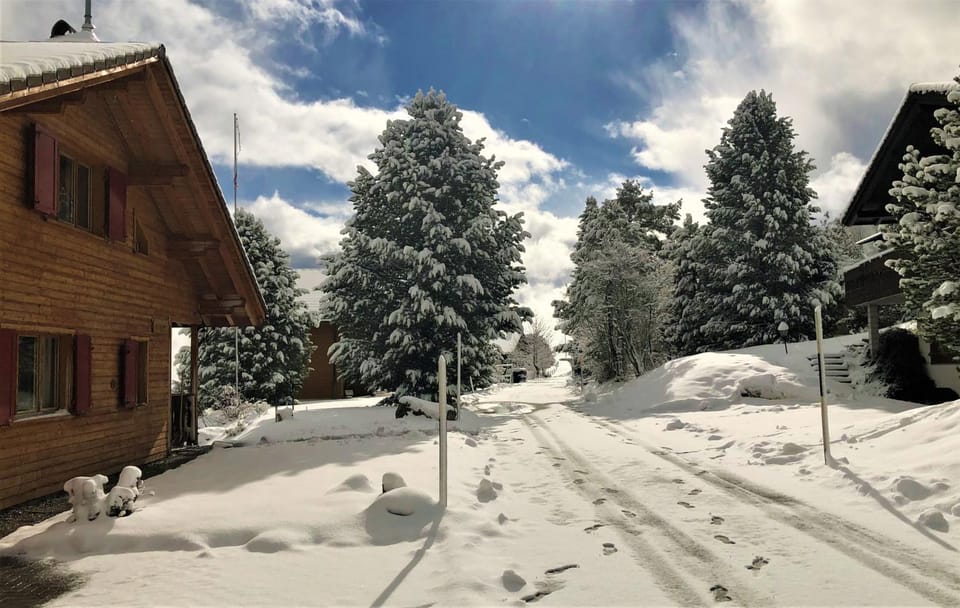 Winter, Quiet street view
