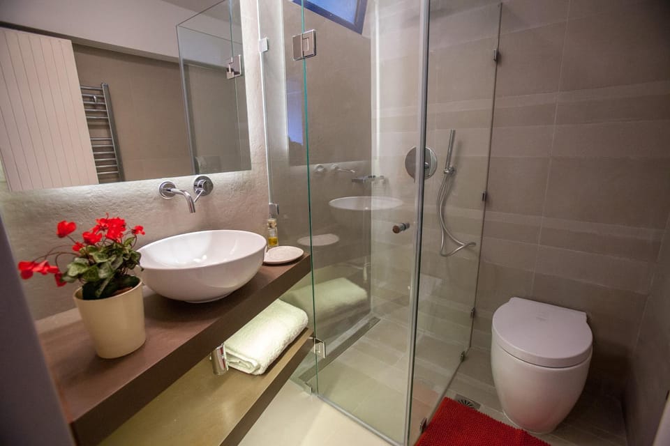 Shower, Toilet