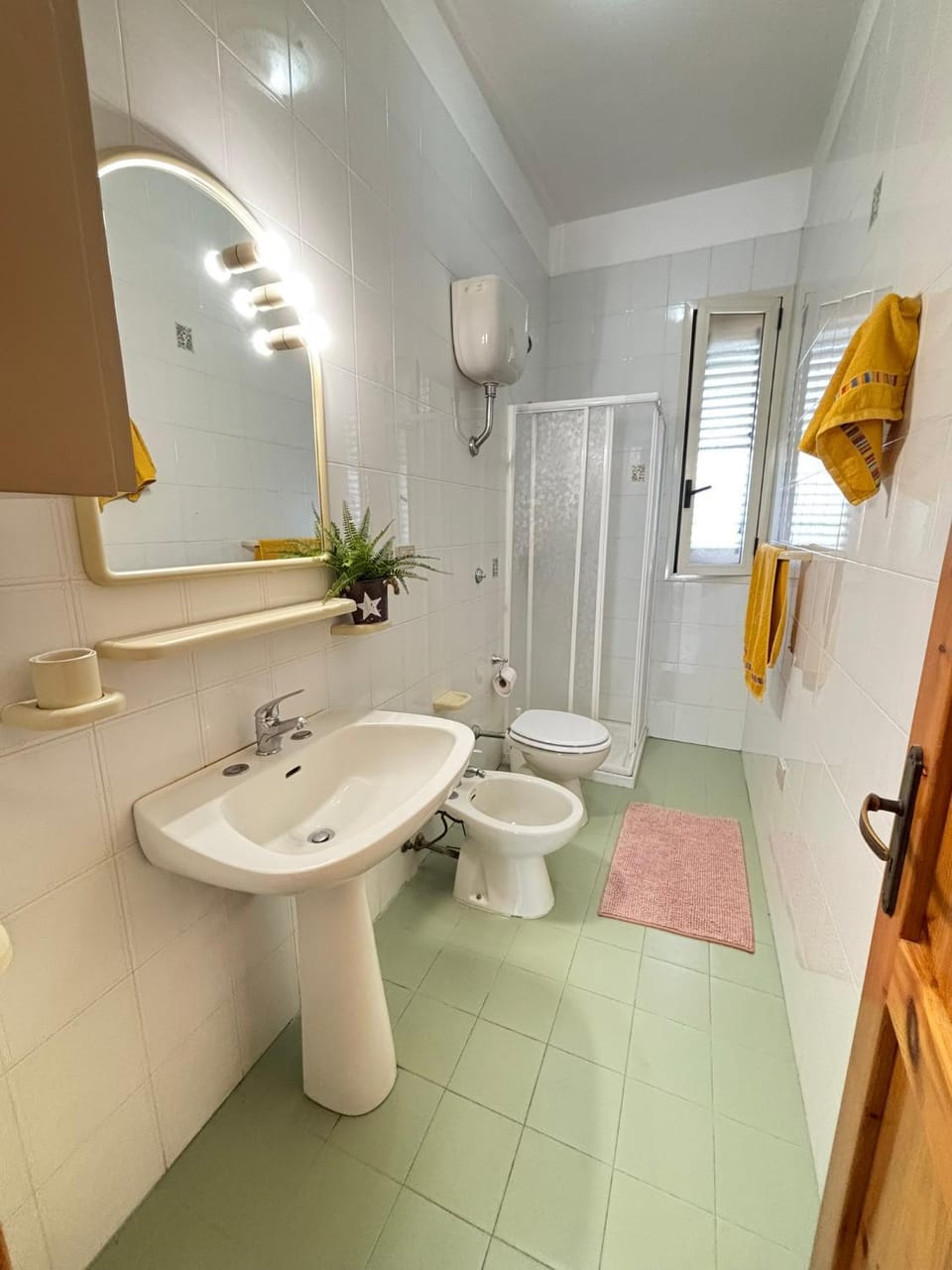 Shower, Toilet, Bathroom, bidet