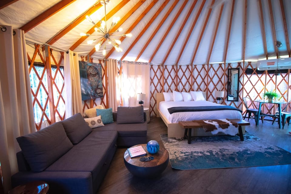 Bed, Living room, Photo of the whole room, Seating area, Bedroom
