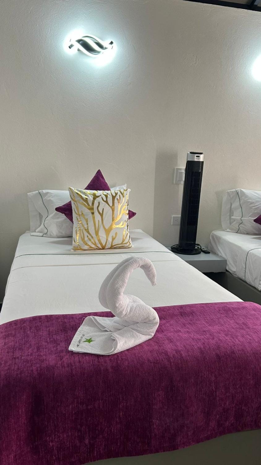 Bed