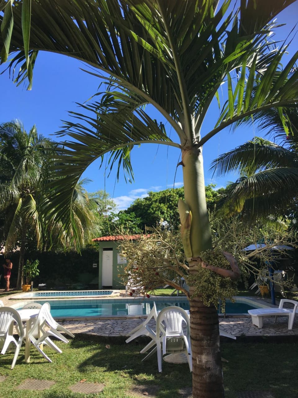 Garden, Swimming pool