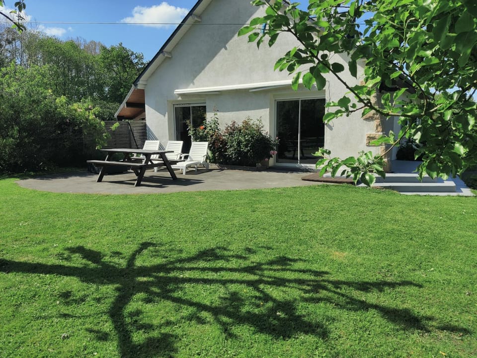 Garden, Garden view, sunbed
