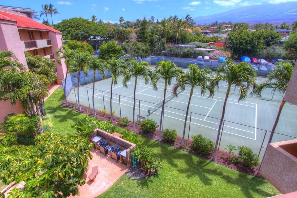 Tennis court