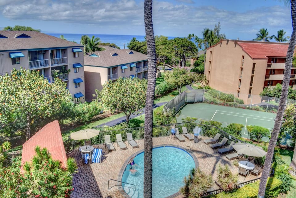 Pool view, Swimming pool
