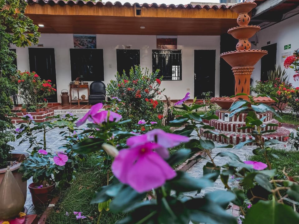 Spring, Day, Garden, Garden view