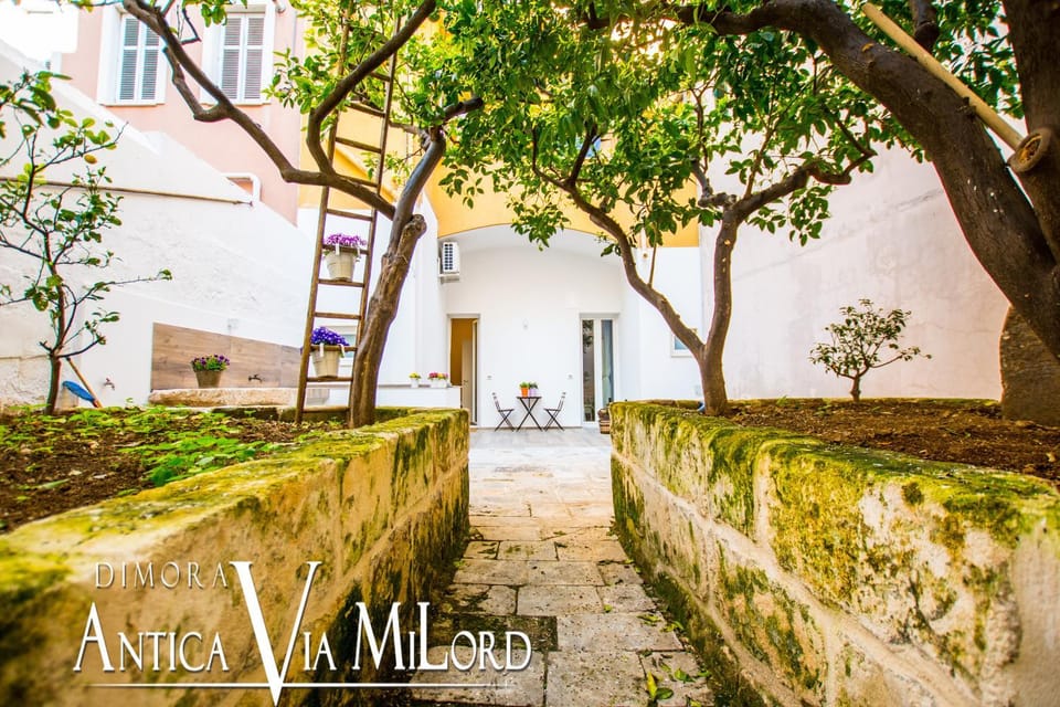 Patio, BBQ facilities, Garden, Garden