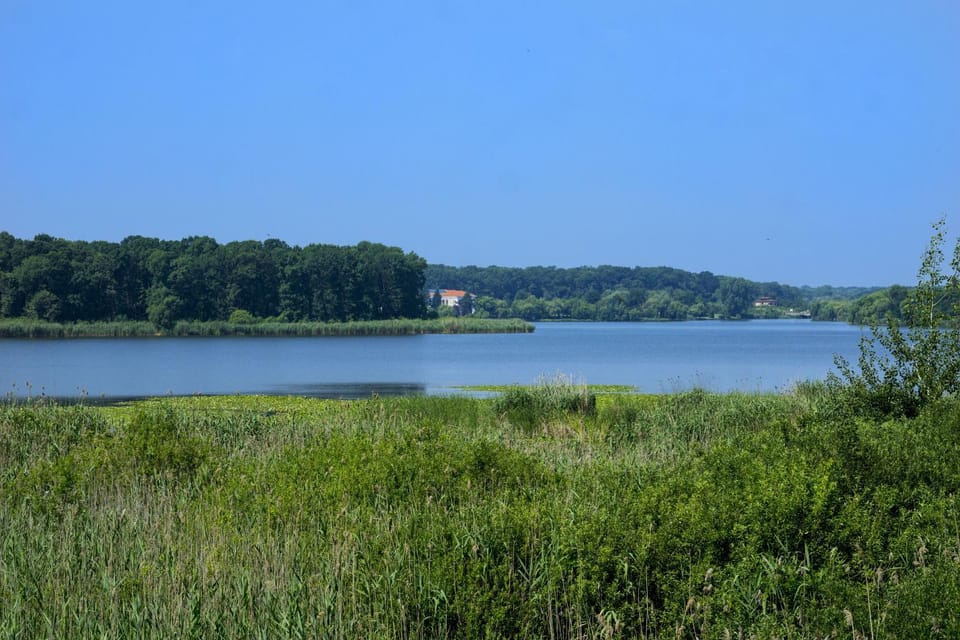 Lake view