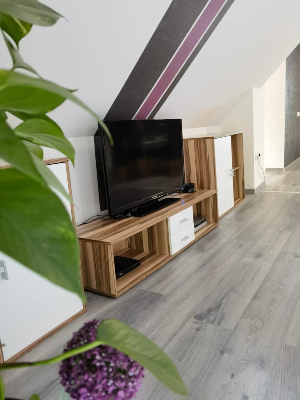 TV and multimedia