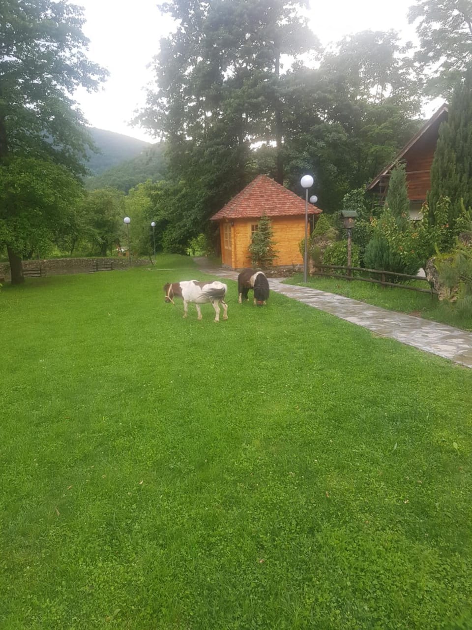 Lisine smeštaj Vodopad Bed and Breakfast in Serbia
