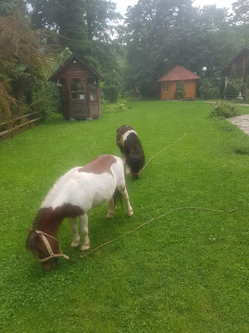 Lisine smeštaj Vodopad Bed and Breakfast in Serbia