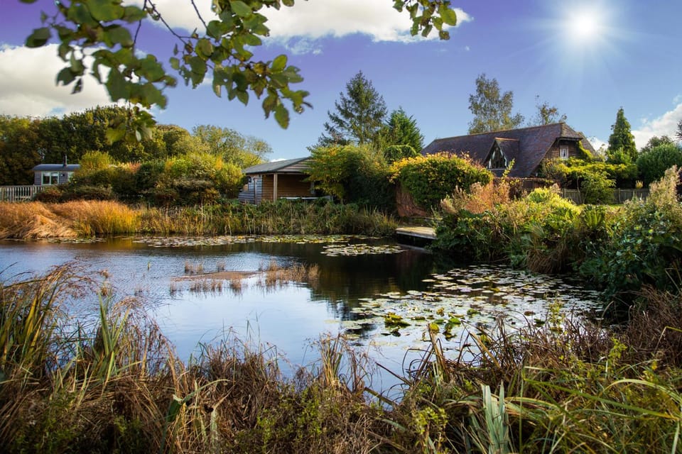 Lake view