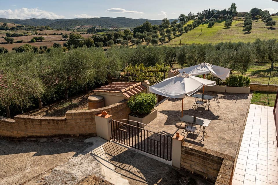 Patio, Natural landscape, Garden view