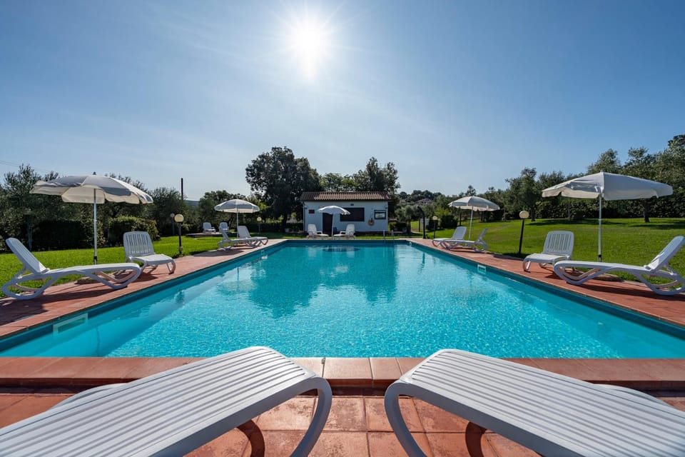 Swimming pool, Swimming pool