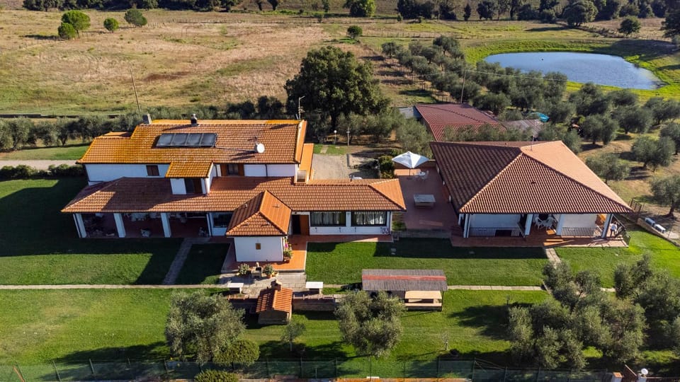 Property building, Bird's eye view