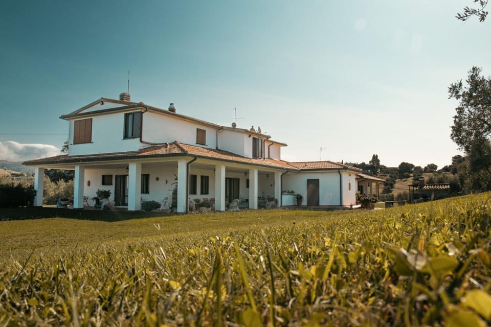 Property building, Natural landscape, Garden, Garden view