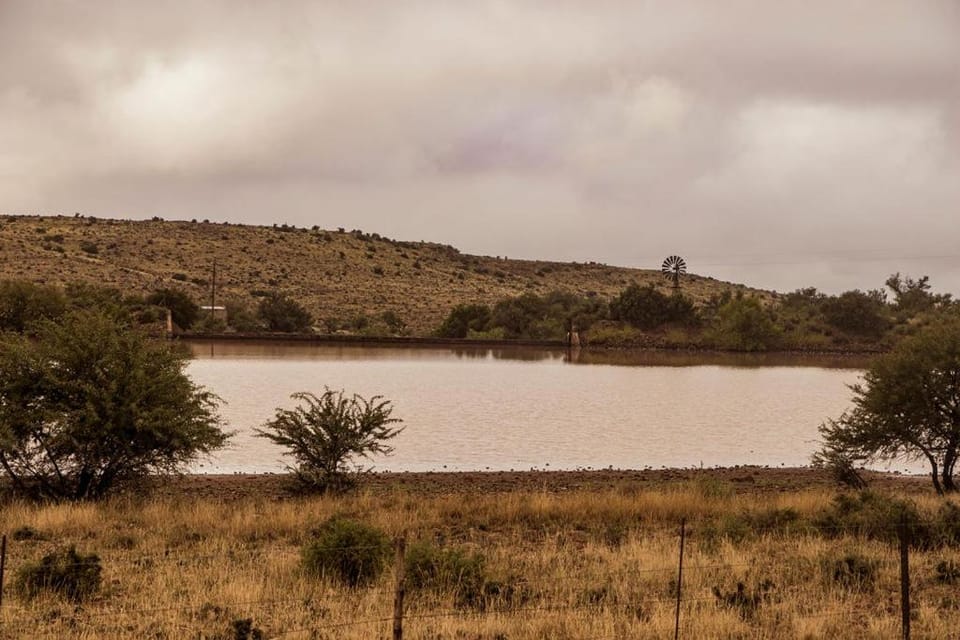 Natural landscape