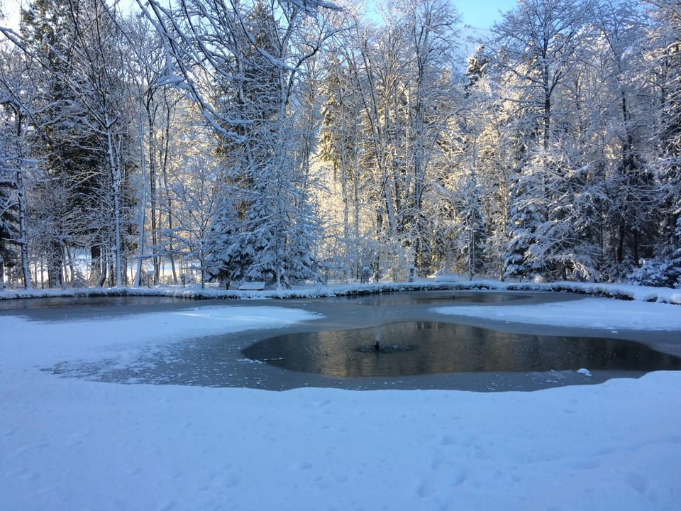 Winter