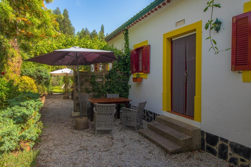 Property building, Garden, Garden view