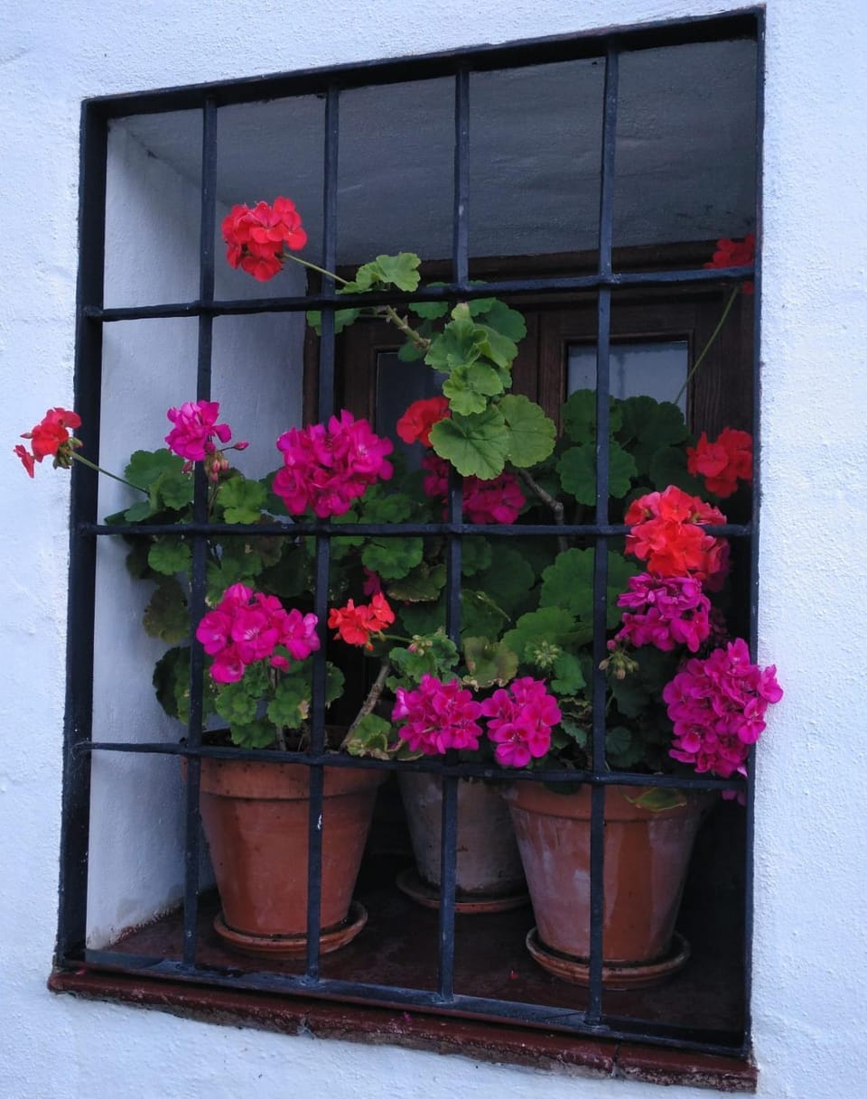 Decorative detail