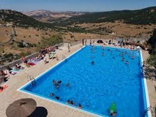 Swimming pool, Swimming pool