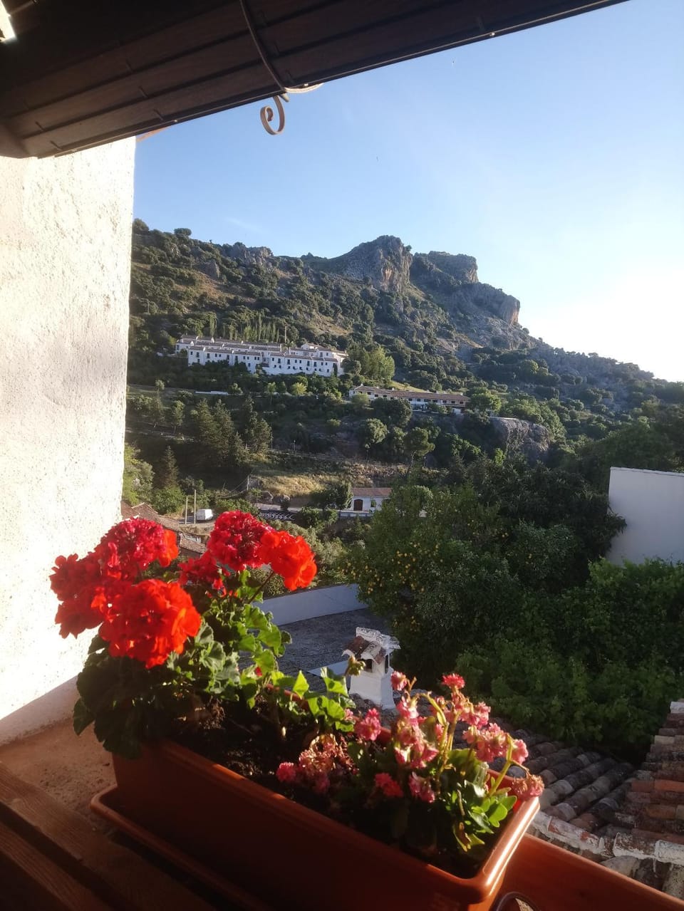Mountain view