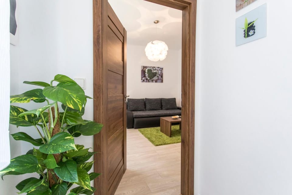 Apartmán Dolní náměstí Apartment in South Moravian Region