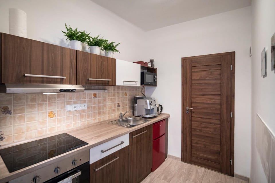 Apartmán Dolní náměstí Apartment in South Moravian Region