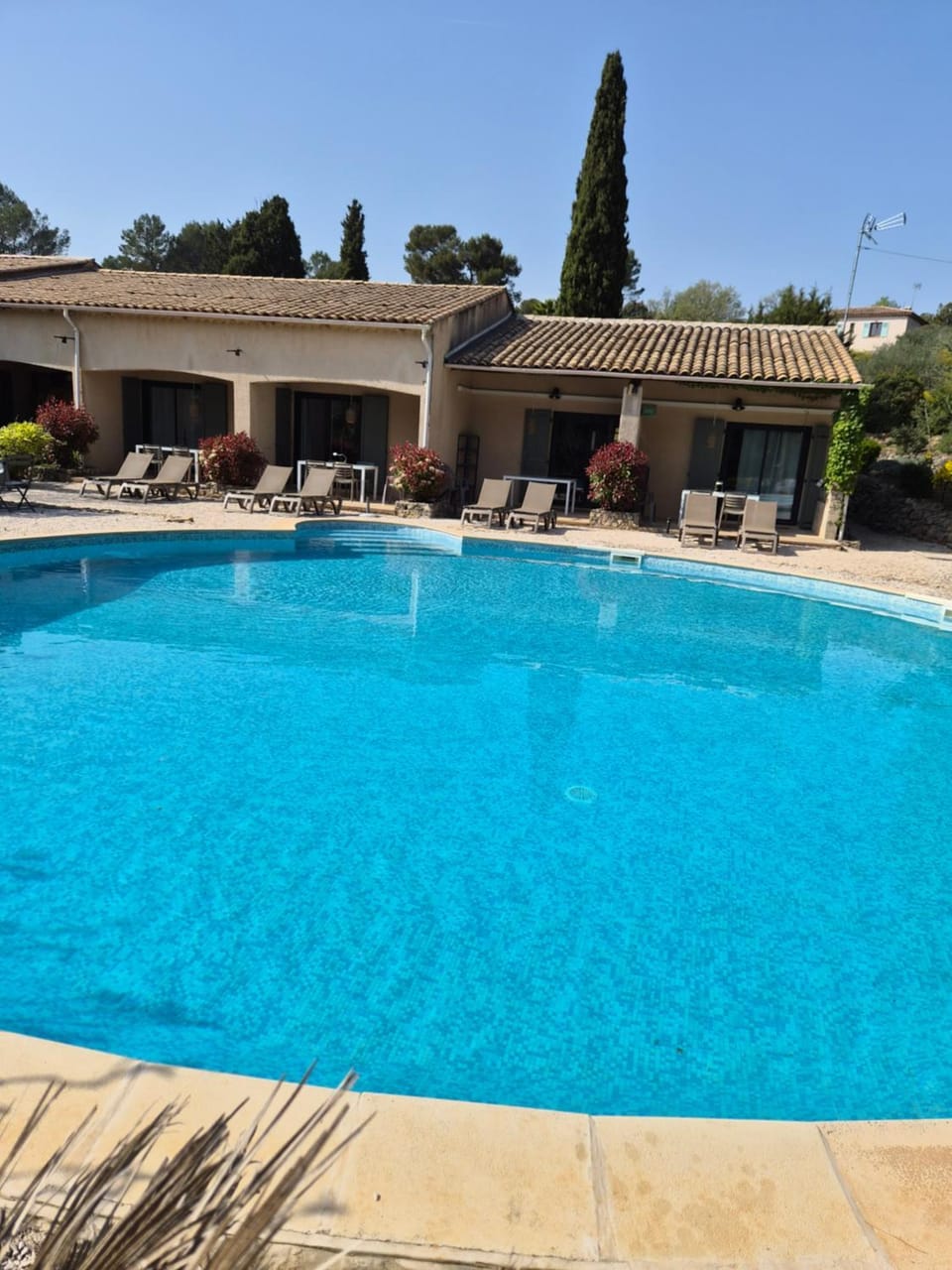 Day, Pool view, Swimming pool, pet friendly, pet friendly, sunbed