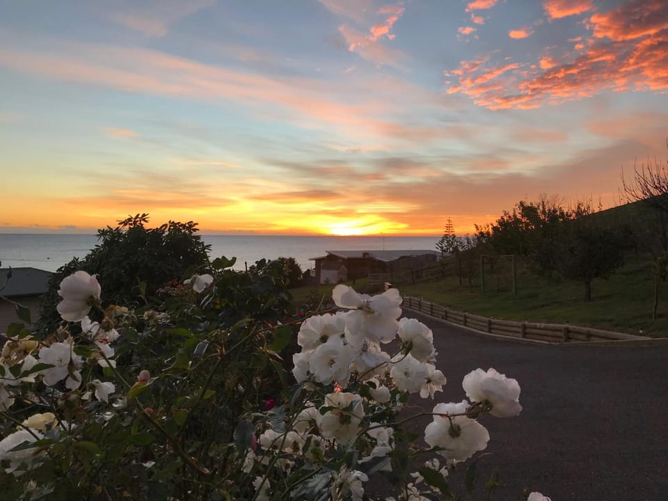 Sea view, Sunrise