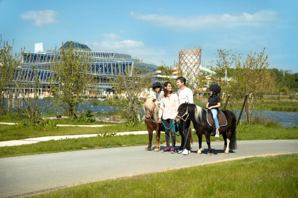 Day, People, Natural landscape, Summer, Horse-riding, Animals, On site, Lake view, Pool view, River view, children, group of guests, Family