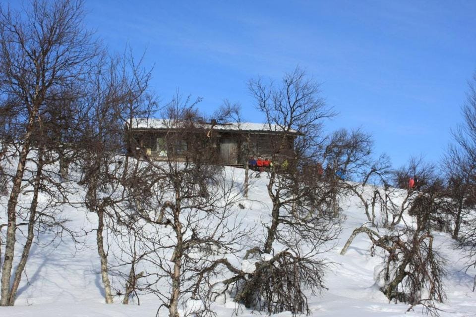 Spring, Winter, Skiing, Mountain view
