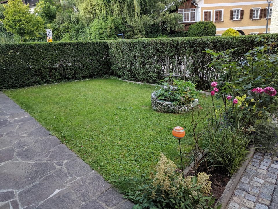 Garden, Garden view, Garden view