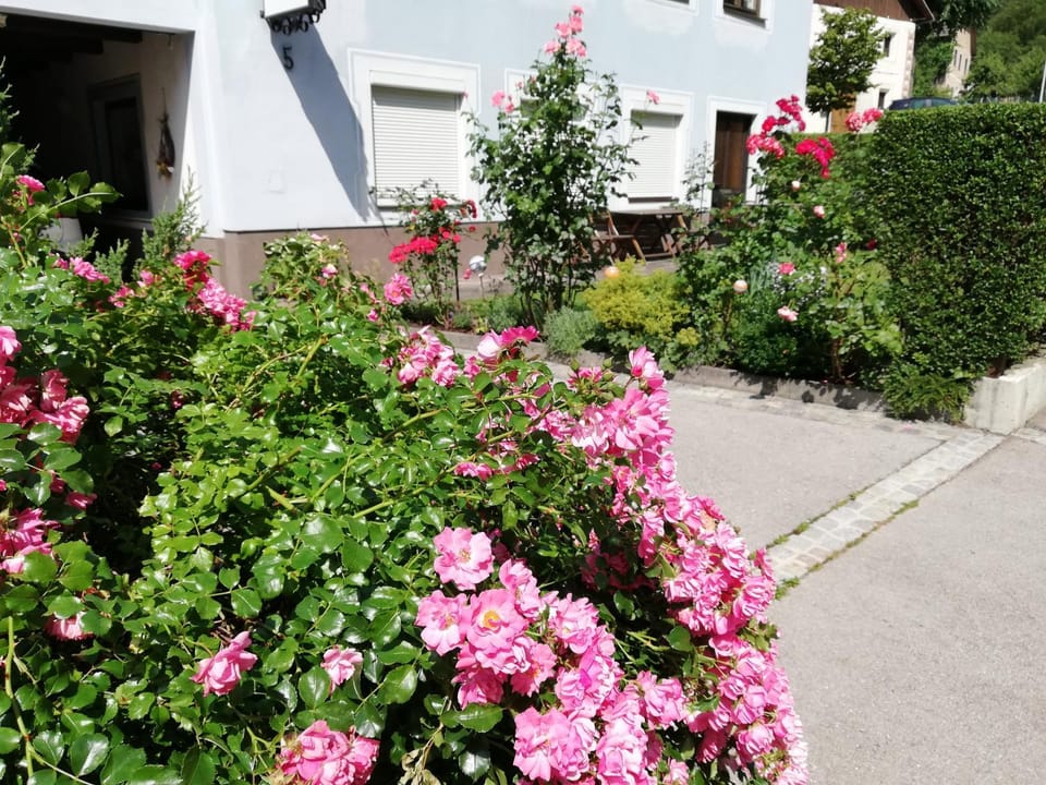 Ferienwohnung Walker Apartment in Carinthia, Austria