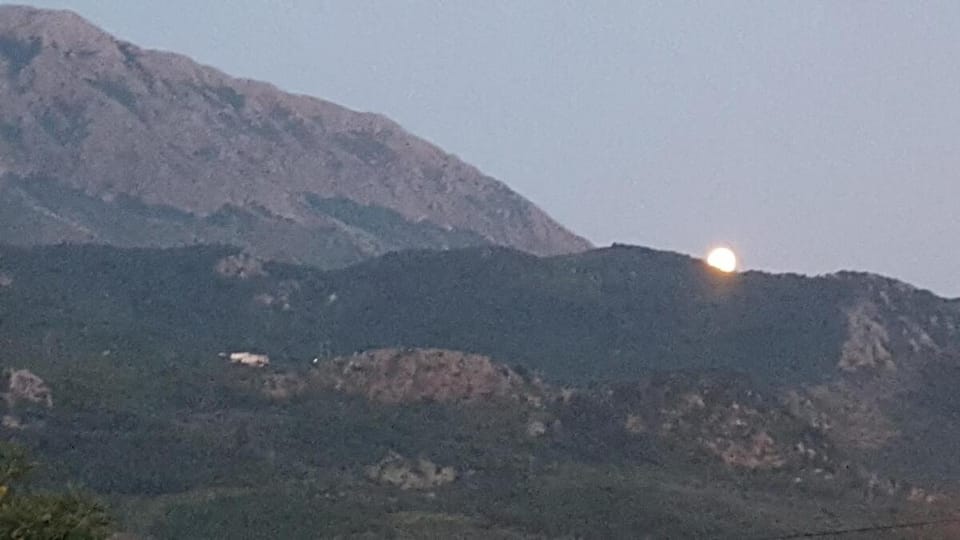 Mountain view